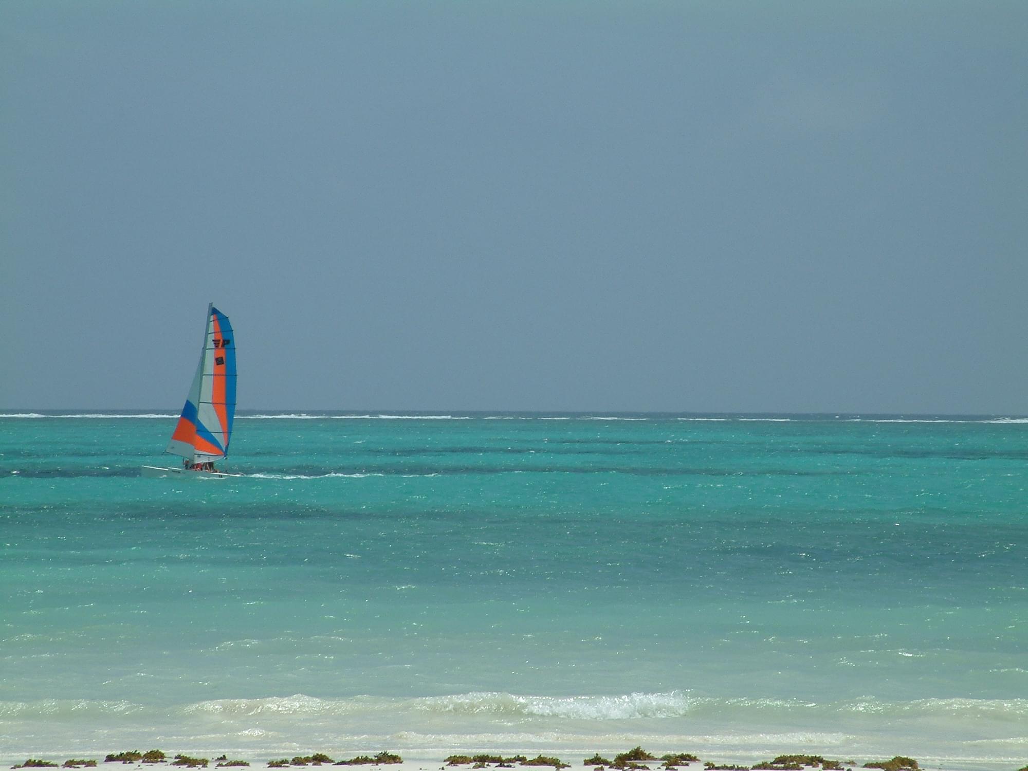 20040131   Zanzibar 380